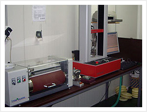 p1.jpg