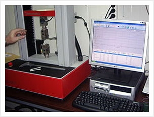 p1.jpg